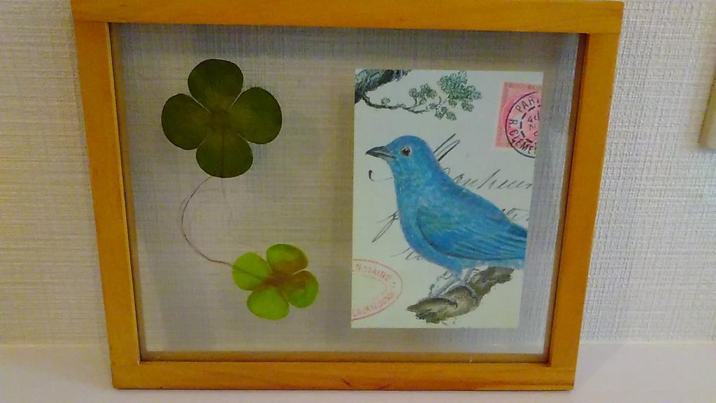 Hiroshima Guesthouse Haru エクステリア 写真